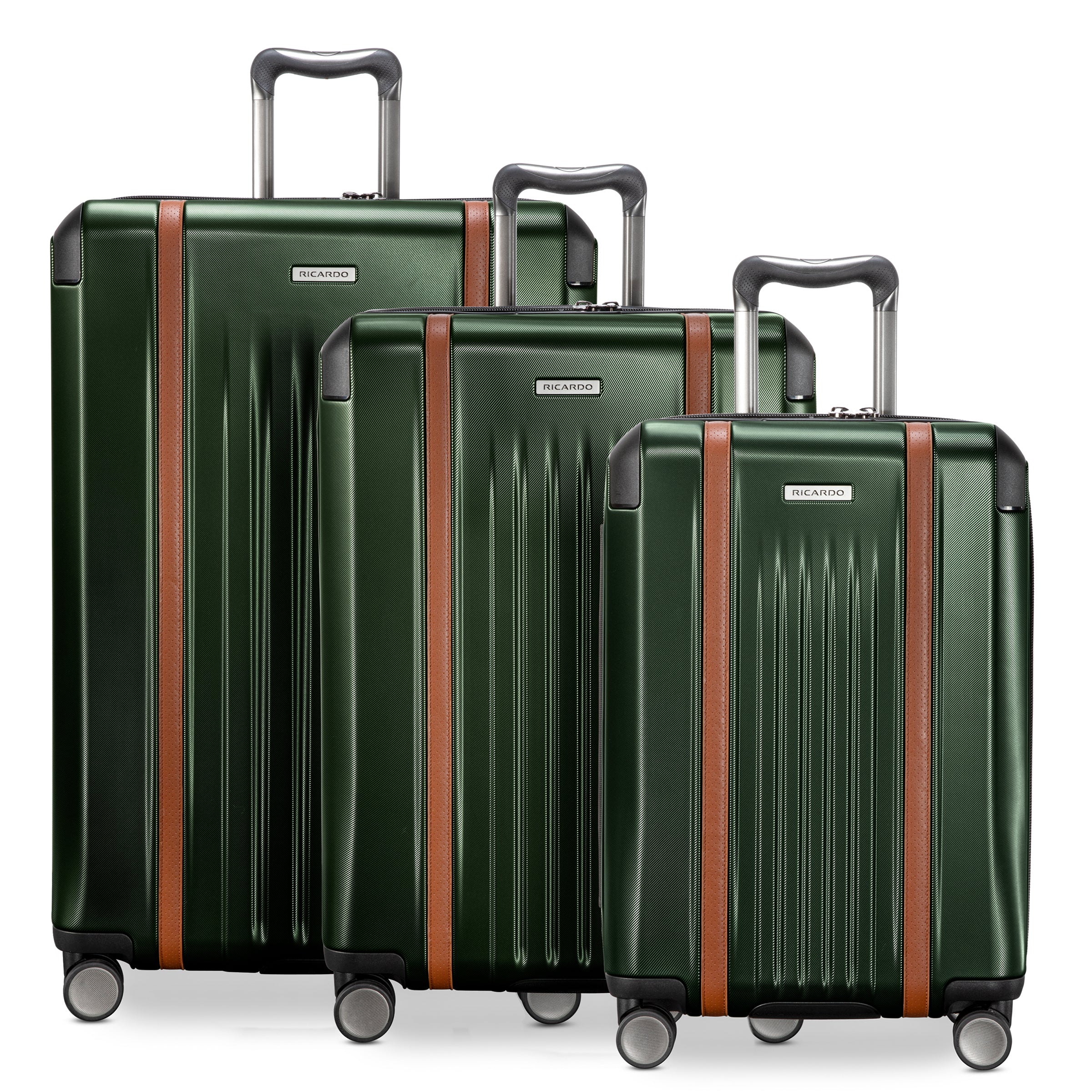 Ricardo beverly hills 2 piece luggage set on sale