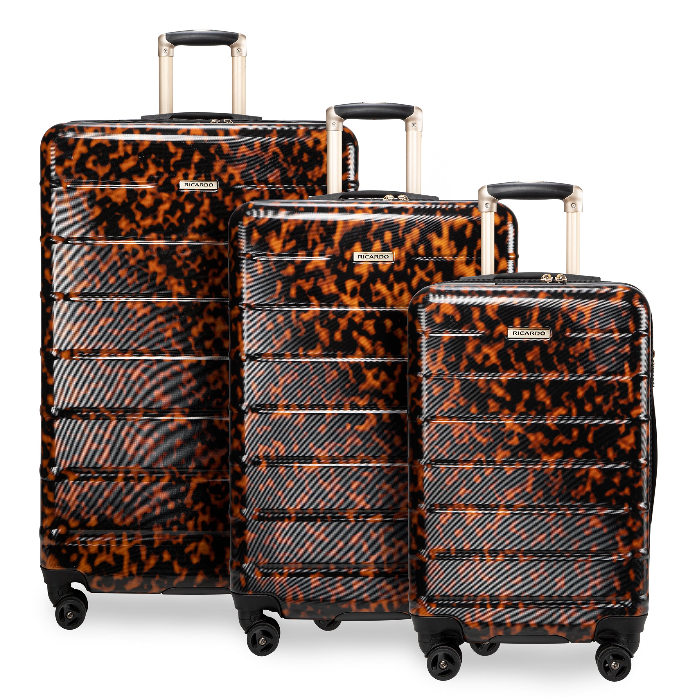 Ricardo 3 piece luggage set on sale